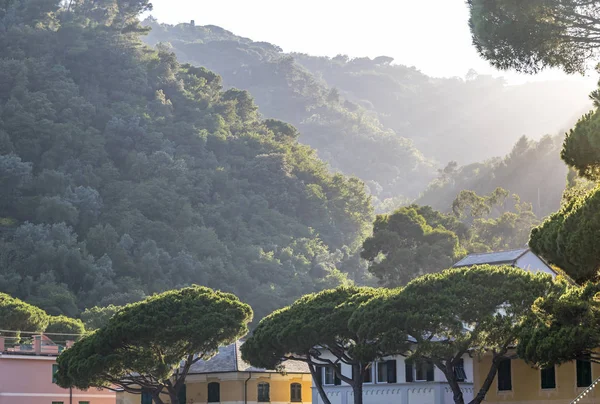 Paraggi köyü, Santa Margherita Ligure, İtalya — Stok fotoğraf