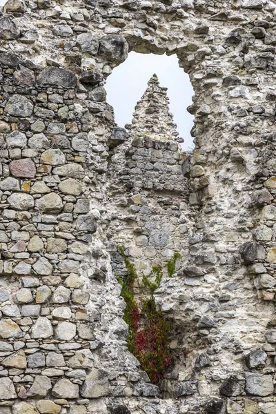 Ruines du château médiéval dans le village de Seredne, Ukraine — Photo
