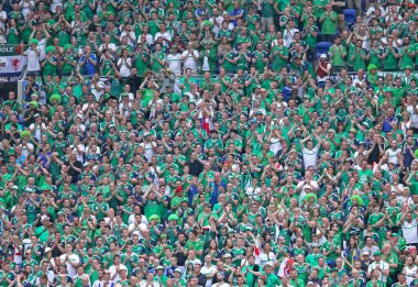 Uefa Euro 2016 maçı Ukrayna v Kuzey İrlanda