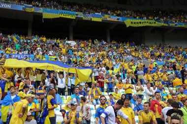 Uefa Euro 2016 maçı Ukrayna v Kuzey İrlanda