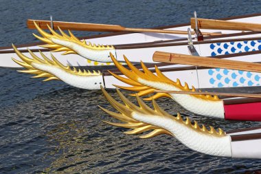 2019 Icf Dragon Boat Club Crew Dünya Şampiyonası Kiev, Ukra