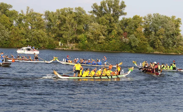 2019 ICF Dragon Boat Club Crew World Championships in Kyiv, Ukra — Stock Photo, Image