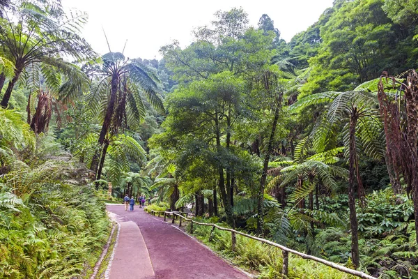 Parque Natural Caldeira Velha na ilha de São Miguel, Açores, Portug — Fotografia de Stock