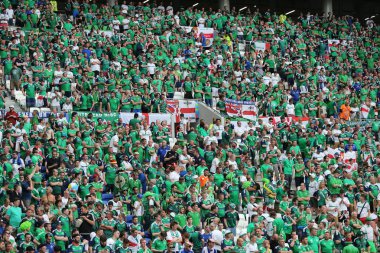 Uefa Euro 2016 maçı Ukrayna v Kuzey İrlanda