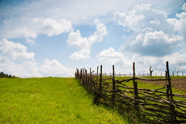 Landsbygdens sommarlandskap — Stockfoto