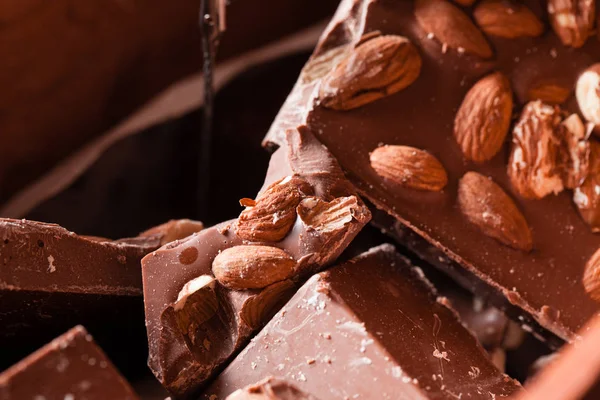 Le chocolat pour un vrai gourmet — Photo