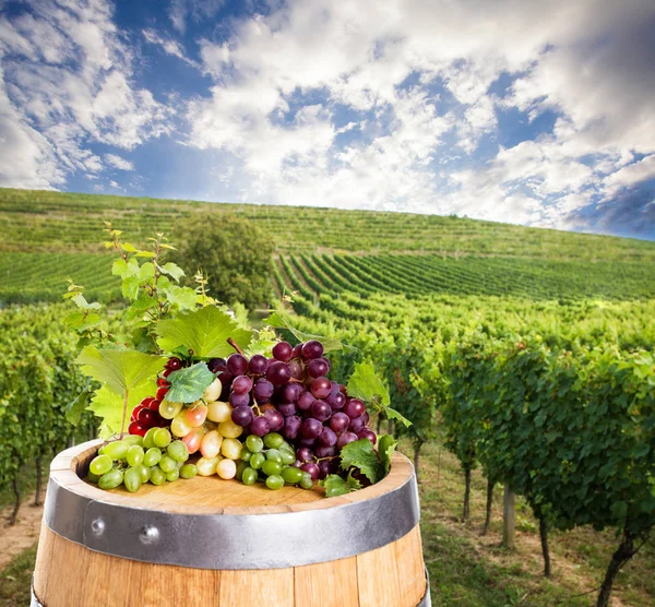 Rotwein mit Fass auf Weinberg in der grünen Toskana, Italien — Stockfoto