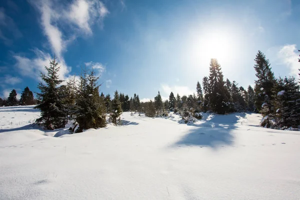 冬天风景的全景在山与雪被盖的树 — 图库照片