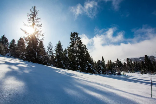 De reis naar de besneeuwde bergen — Stockfoto