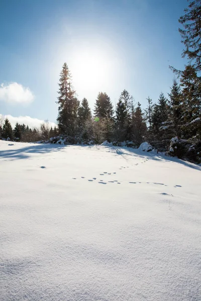 Natura pittoresca in inverno — Foto Stock