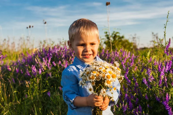 Netter Junge mit Wildblumen — Stockfoto