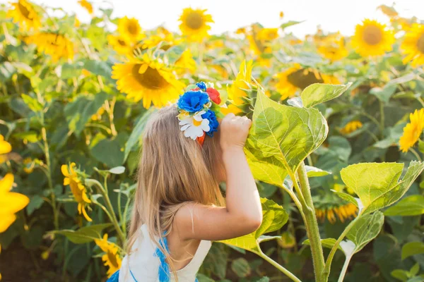 The game of hide and seek on the sunflower field — Stock Photo, Image