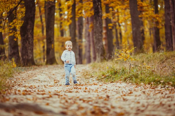 Pojke i parken — Stockfoto