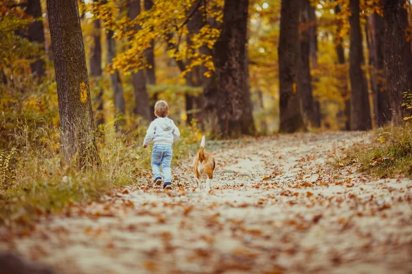 Ragazzo con beagle — Foto Stock