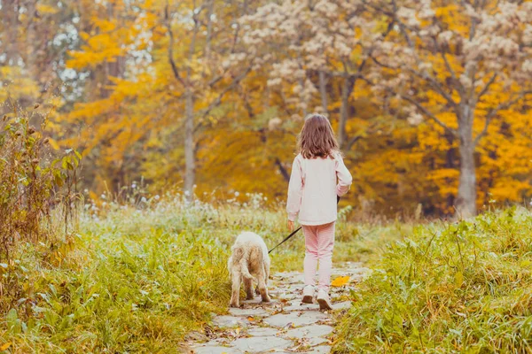 Flickan och hennes golden retriever hund — Stockfoto