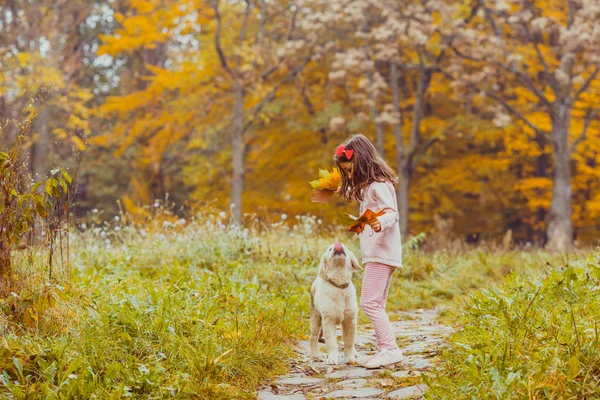 少女と彼女の犬のゴールデン ・ リトリーバー — ストック写真