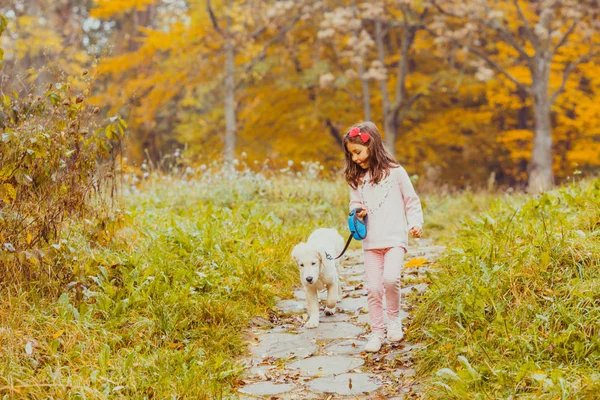 Το κορίτσι και το σκύλο του χρυσόs retriever — Φωτογραφία Αρχείου
