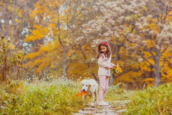 Το κορίτσι και το σκύλο του χρυσόs retriever — Φωτογραφία Αρχείου