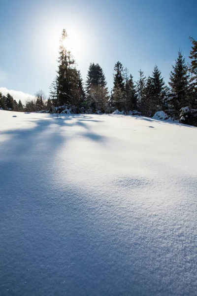 De winterwereld van omzwervingen — Stockfoto