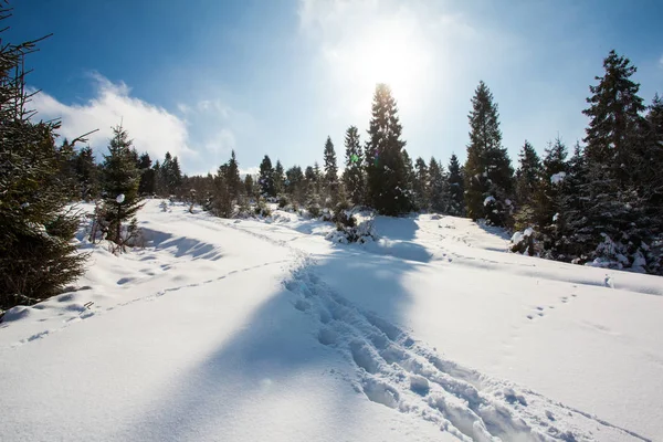 De winter reis naar de bergen — Stockfoto