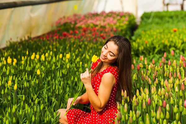 La donna compra i tulipani — Foto Stock