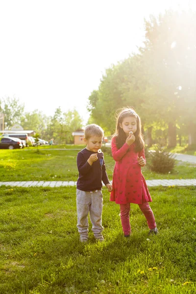 Kinder pusten den Löwenzahn — Stockfoto