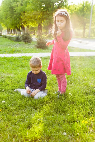 公園で妹兄とゲーム, — ストック写真