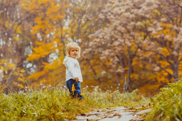 Das Kleine Kind Mit Einem Ahornblatt Spaziert Herbstlichen Park — Stockfoto