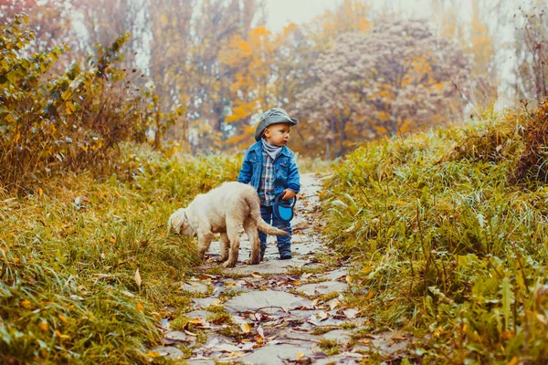 El cuidado de su amado perro — Foto de Stock