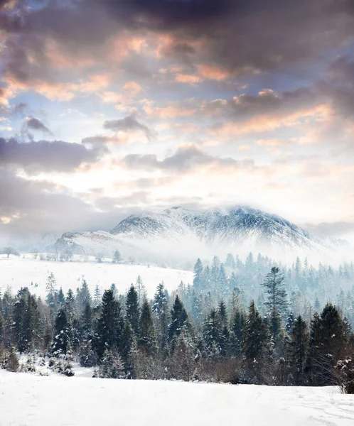 Dia de inverno em montanhas — Fotografia de Stock