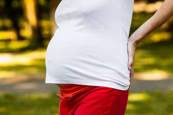 Pregnancy in adulthood — Stock Photo, Image