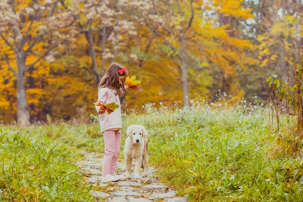 少女と彼女の犬のゴールデン ・ リトリーバー — ストック写真