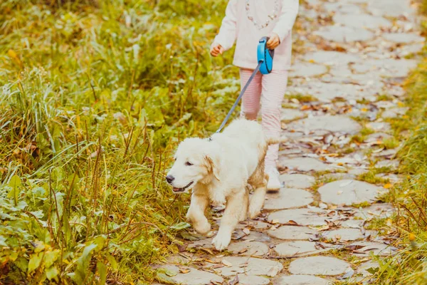 Flickan och hennes golden retriever hund — Stockfoto