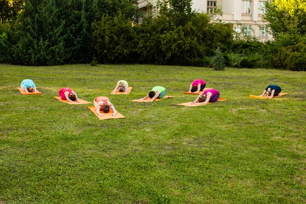 Група любителів йоги — стокове фото