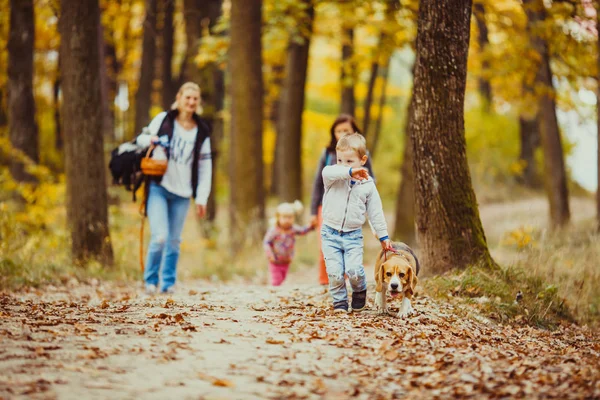 Junge mit Beagle — Stockfoto