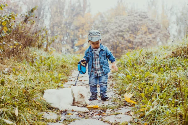 Spaziergang mit einem Vierbeiner — Stockfoto