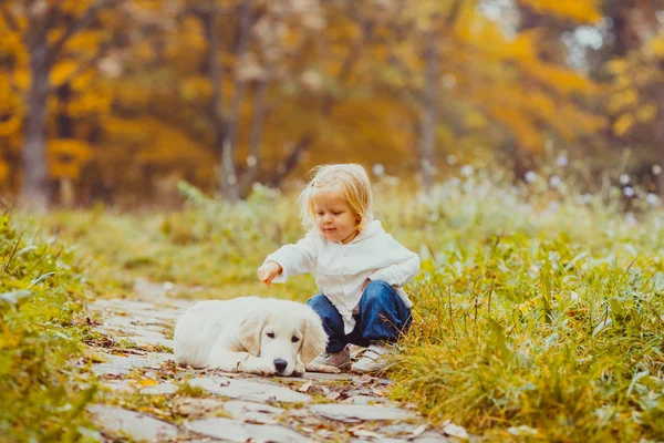 A menina está se familiarizando com um cão solitário — Fotografia de Stock