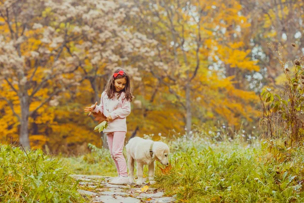 Dziewczyna i jej pies golden retriever — Zdjęcie stockowe