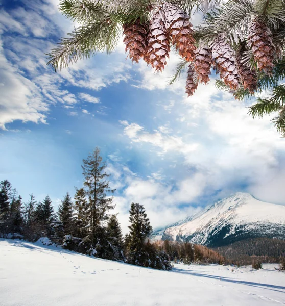 A viagem de inverno para as montanhas — Fotografia de Stock