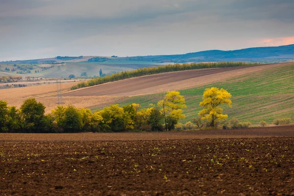 Farma krajina jižní Moravy — Stock fotografie