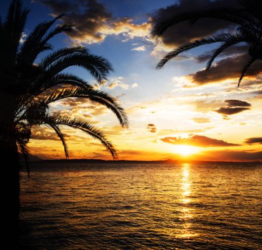 Deniz plaj yaz meslekler avucunda