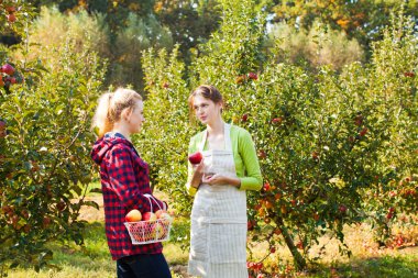 Sonbahar elma bahçesi, genç erkek