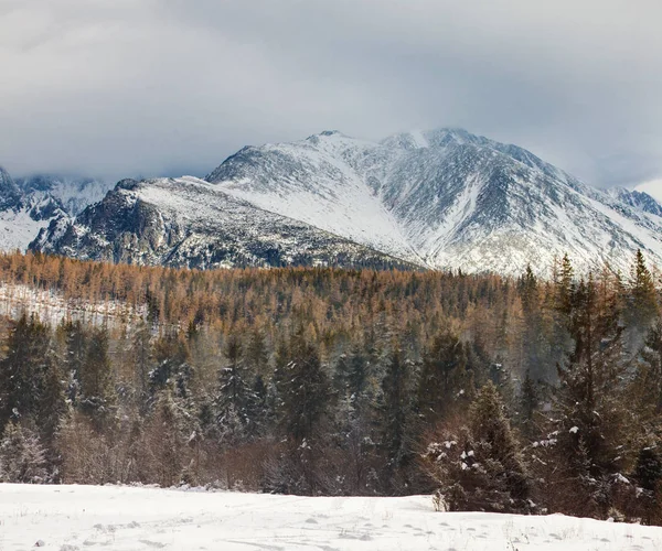 Zimní den v zasněžených horách a stromy — Stock fotografie