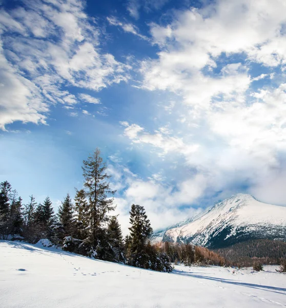 Winter sunny day in the mountains over sky — Stock Photo, Image