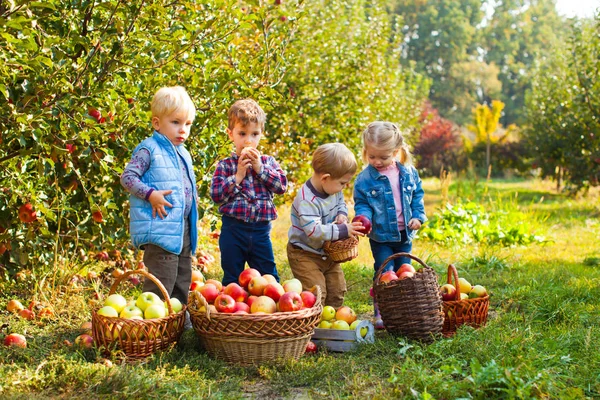 Zamknij widok dzieci z koszami jabłek — Zdjęcie stockowe