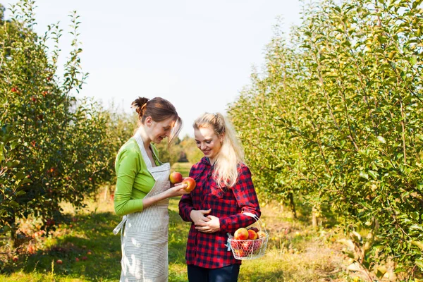 Genç bahçıvanlar onların hasat elma arıyorsunuz