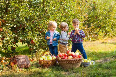 Sepet elma tam çocuklarla görünümü Kapat