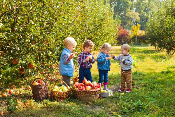 Słodkie dzieci stojąc w jesienny ogród apple — Zdjęcie stockowe
