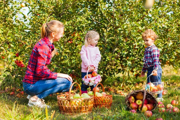 Mamman och flickan tvillingar på äppelträdgården — Stockfoto