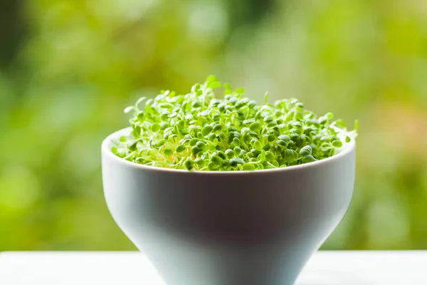 Micro verdes orgánicos en el tazón de cerca — Foto de Stock